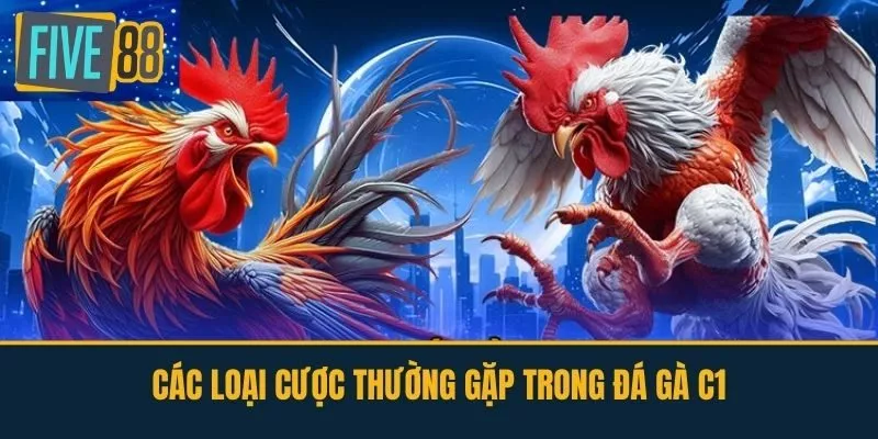 Các Loại Cược Thường Gặp Trong Đá Gà C1