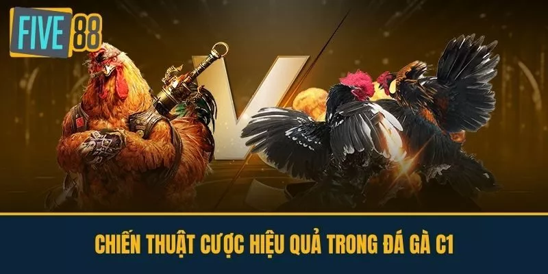 Chiến Thuật Cược Hiệu Quả Trong Đá Gà C1