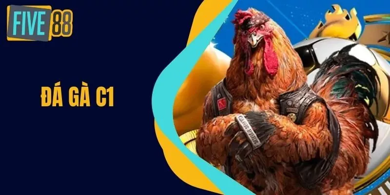 Đá Gà C1 -  Hướng Dẫn Chi Tiết Và Chiến Thuật Cược Hiệu Quả