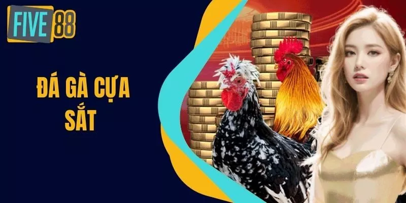 Đá Gà Cựa Sắt - Bí Quyết Chiến Thắng Cược Đá Gà Tại FIVE88