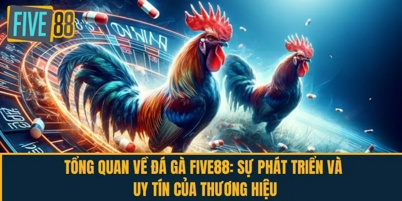 Tổng quan về Đá Gà FIVE88: Sự phát triển và uy tín 