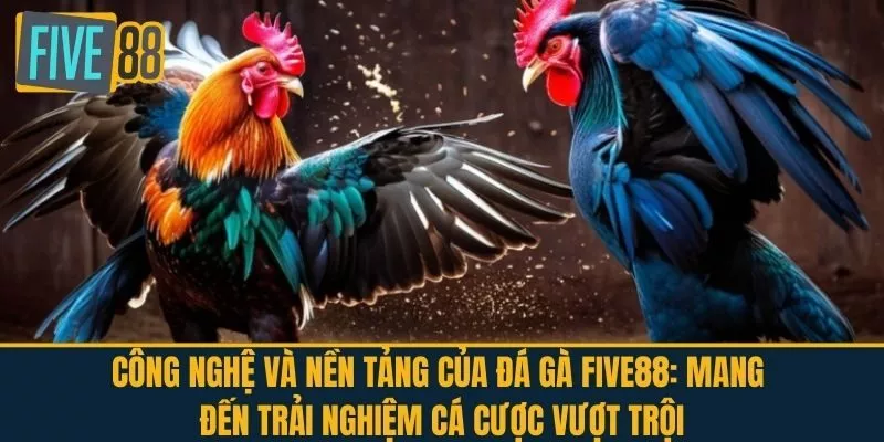 Công nghệ và nền tảng của Đá Gà FIVE88: Mang đến trải nghiệm cá cược vượt trội