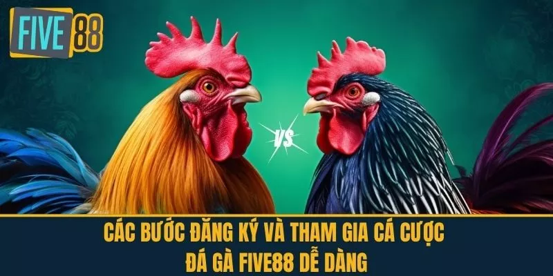 Các bước đăng ký và tham gia cá cược Đá Gà FIVE88 dễ dàng