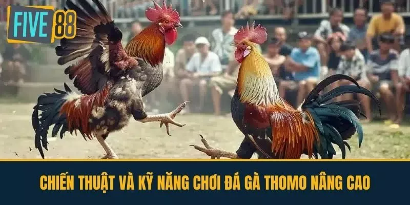 Chiến thuật và kỹ năng chơi đá gà thomo nâng cao