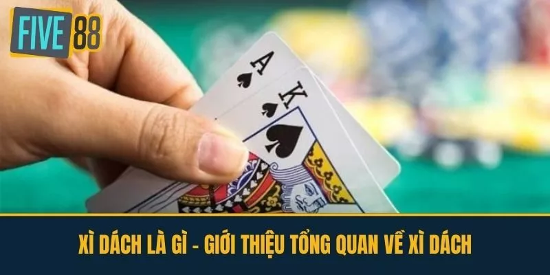 Xì Dách Là Gì - Giới Thiệu Tổng Quan Về Xì Dách
