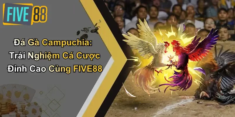 Đá Gà Campuchia: Trải Nghiệm Cá Cược Đỉnh Cao Cùng FIVE88