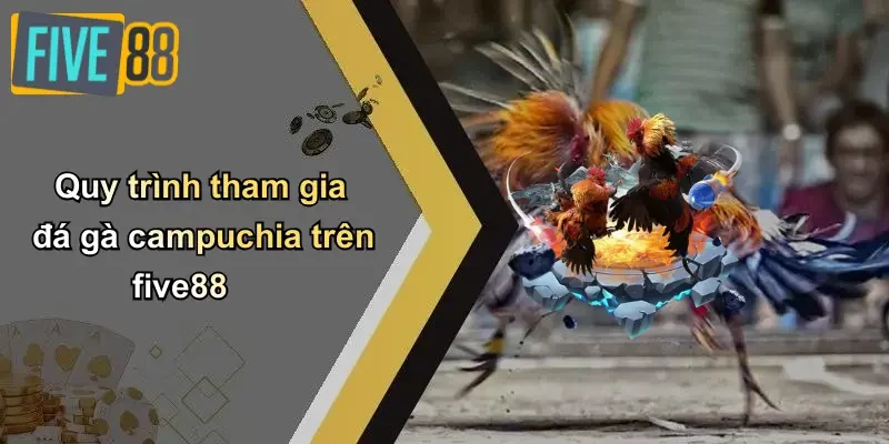 Quy trình tham gia đá gà campuchia trên five88